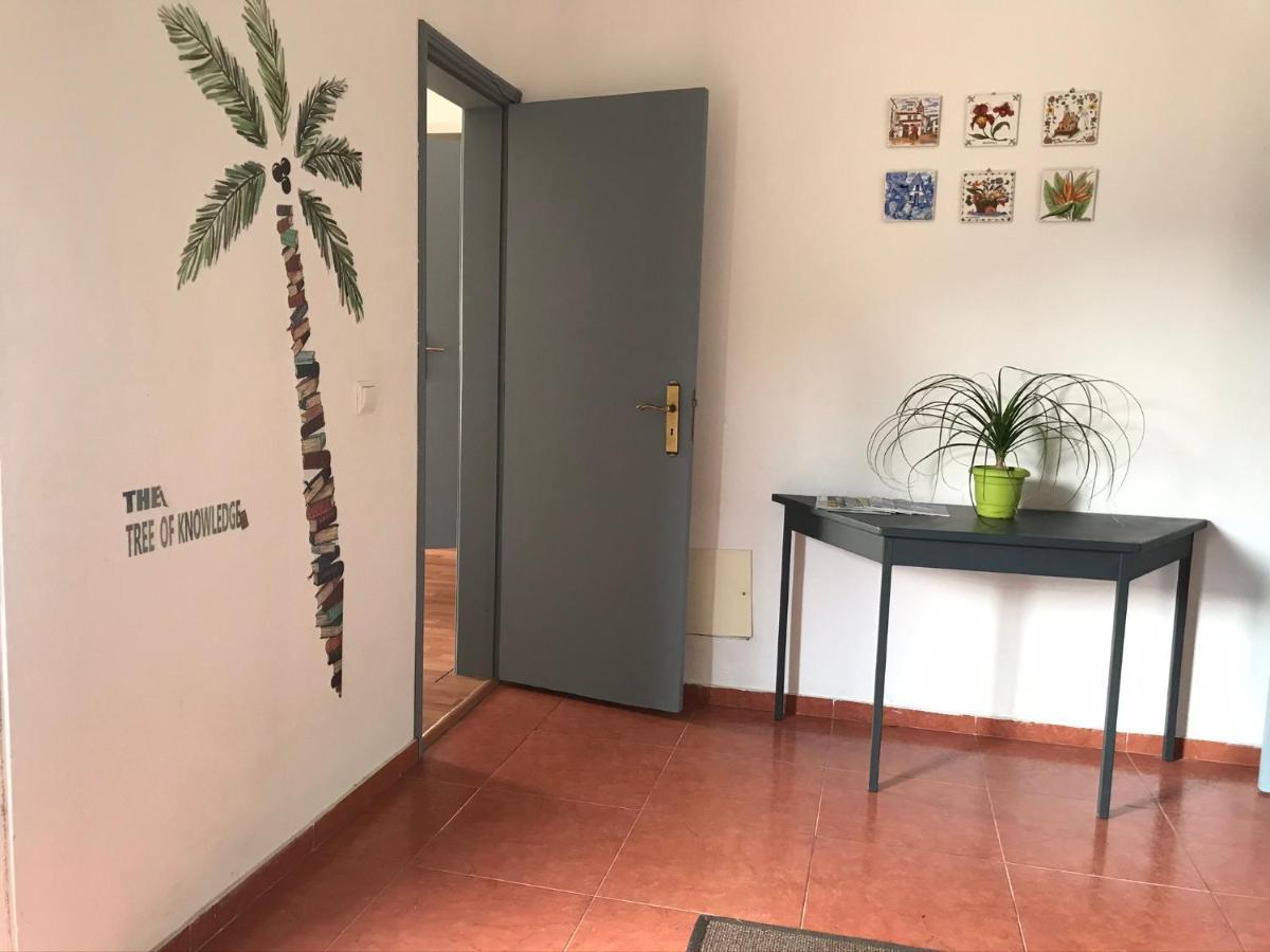 Casa Vista Do Ledo Villa Arco da Calheta  Dış mekan fotoğraf